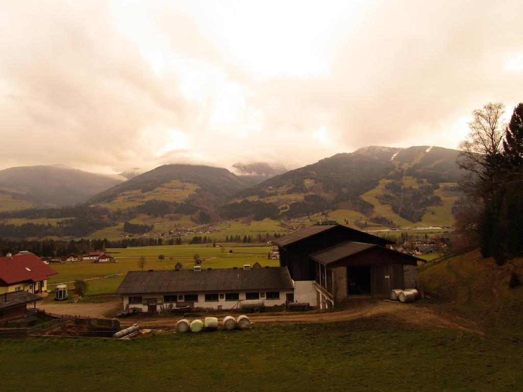 Appartment Stiegler Haus im Ennstal Szoba fotó